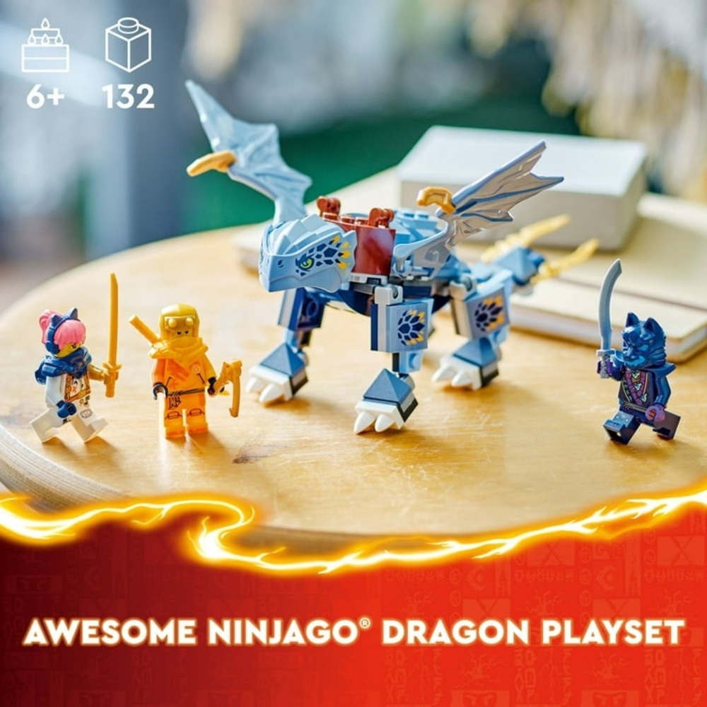 LEGO Ninjago Young Dragon Riyu Building Toy - 71810